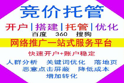 网络推广与竞价策略实战案例